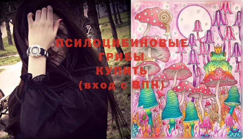 Галлюциногенные грибы Magic Shrooms  ОМГ ОМГ как зайти  Серпухов 